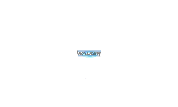 Walker Moer 80633