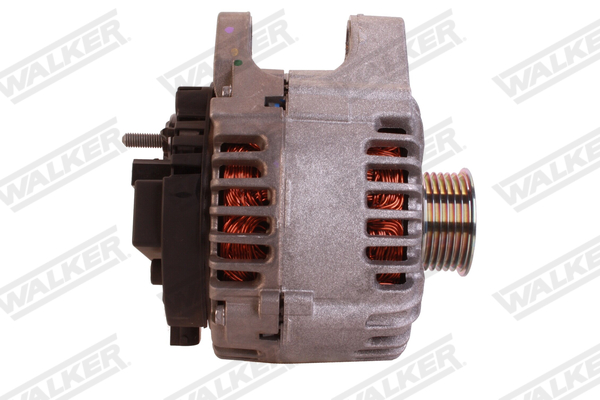 Walker Starter-Generator WSG00010