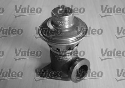 EGR-klep Valeo 700404