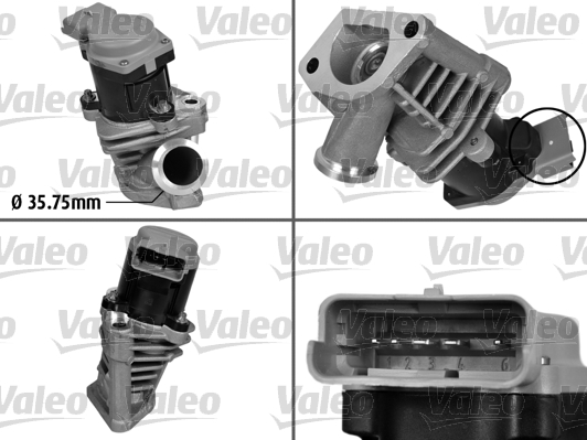 EGR-klep Valeo 700408