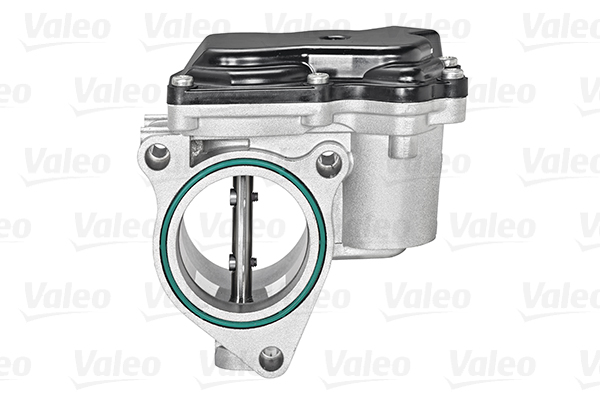 Valeo Gasklephuis 700430