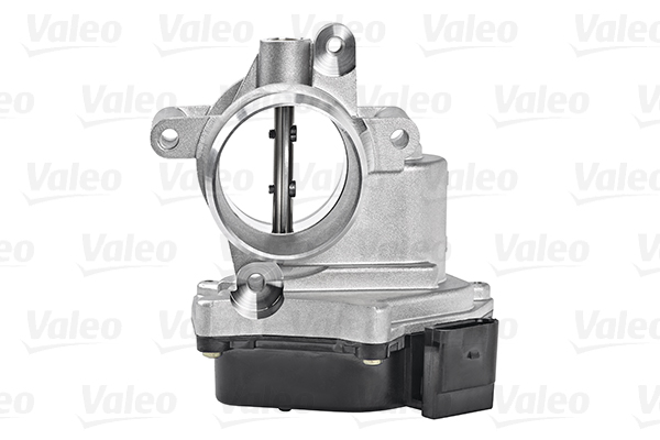 Valeo Gasklephuis 700432