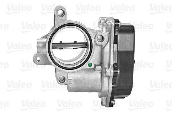 Valeo Gasklephuis 700432