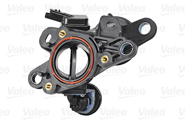 Valeo Gasklephuis 700443