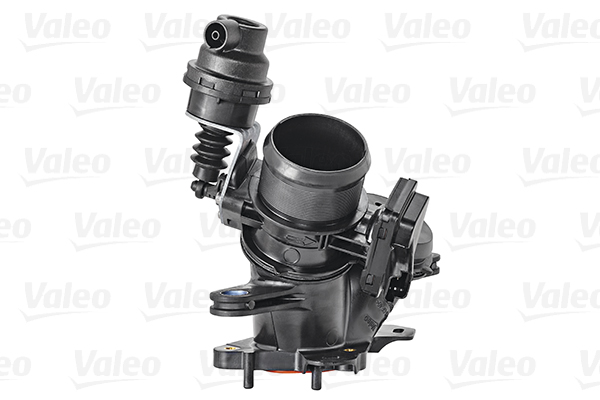 Valeo Gasklephuis 700443