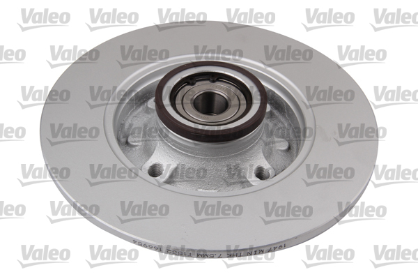 Valeo Remschijven 675405