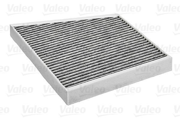 Valeo Interieurfilter 698741