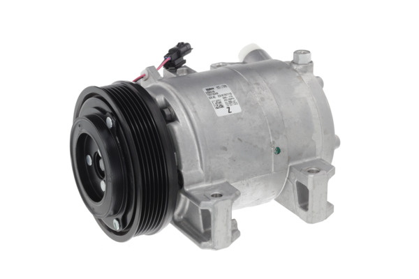 Valeo Airco compressor 559516