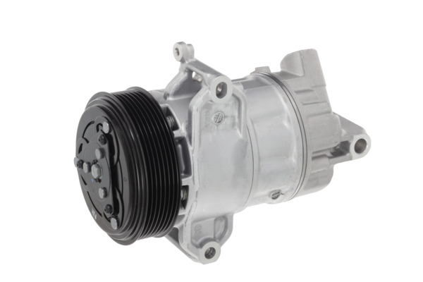 Valeo Airco compressor 690197