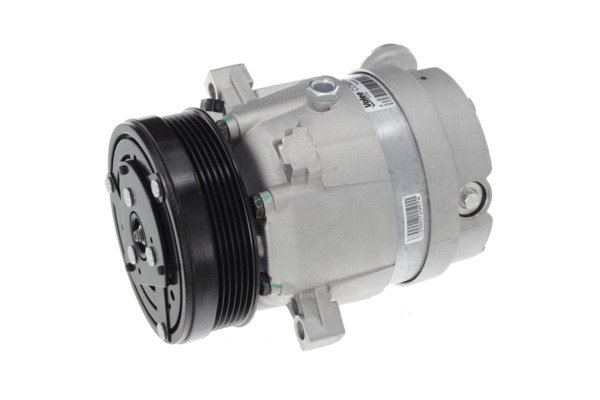 Valeo Airco compressor 699066