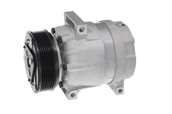 Valeo Airco compressor 699361