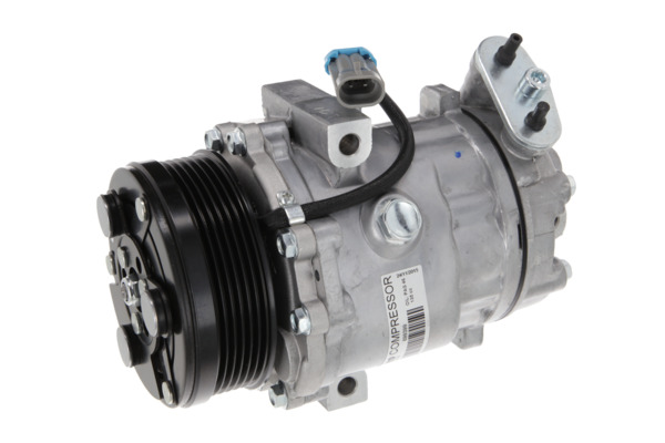 Valeo Airco compressor 699399