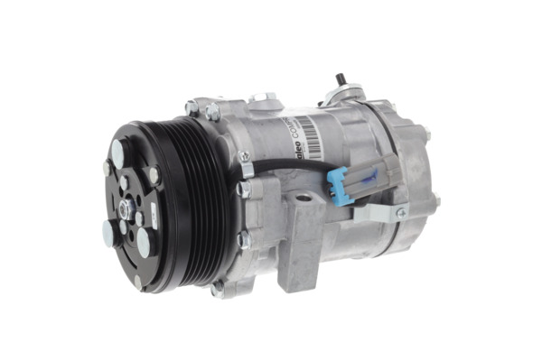 Valeo Airco compressor 699405