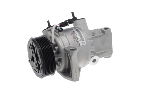 Valeo Airco compressor 699496