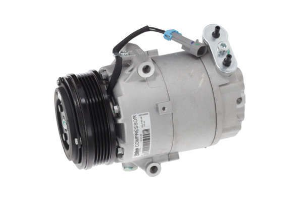 Valeo Airco compressor 813139