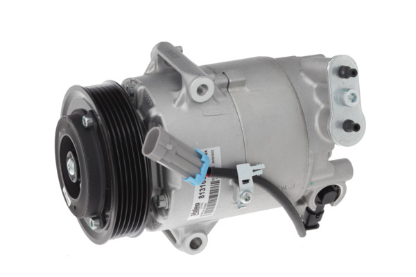 Valeo Airco compressor 813160