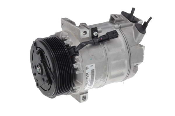 Valeo Airco compressor 813191