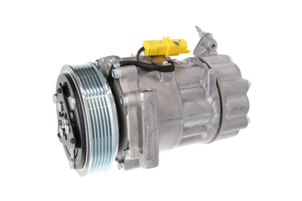 Valeo Airco compressor 813206