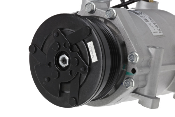 Valeo Airco compressor 813281