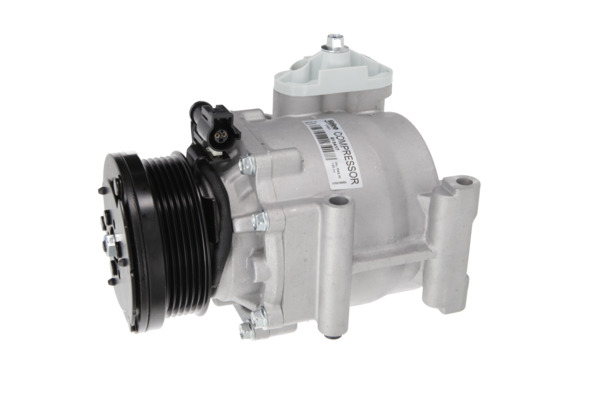 Valeo Airco compressor 813417