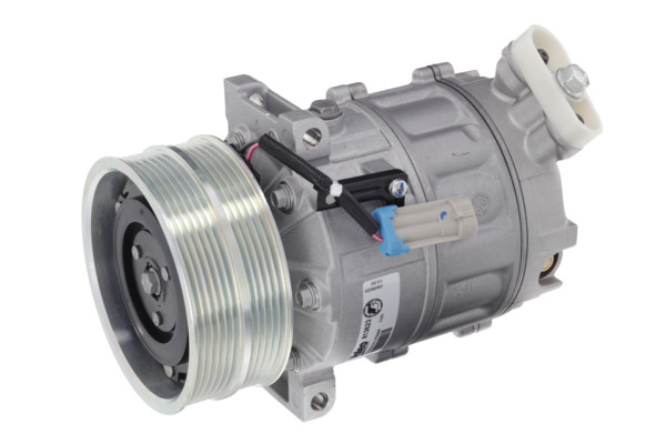 Valeo Airco compressor 813623