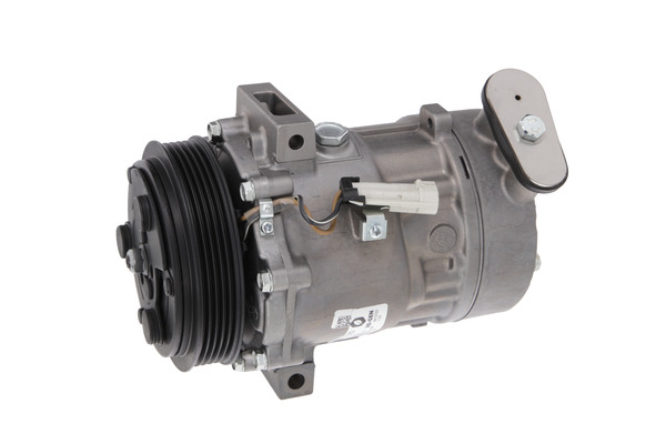 Valeo Airco compressor 813682