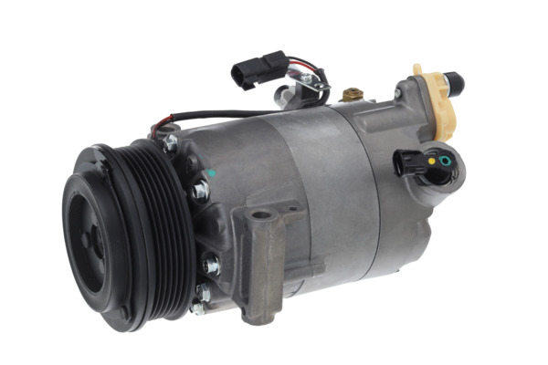 Valeo Airco compressor 813691