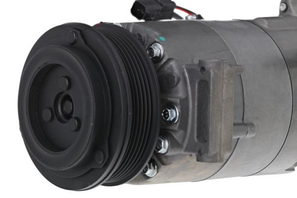 Valeo Airco compressor 813691