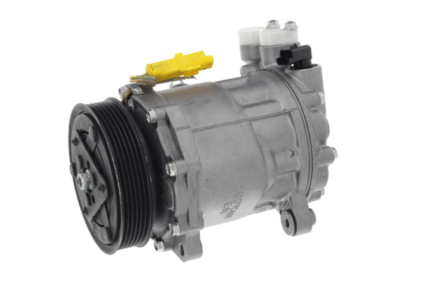 Valeo Airco compressor 813722