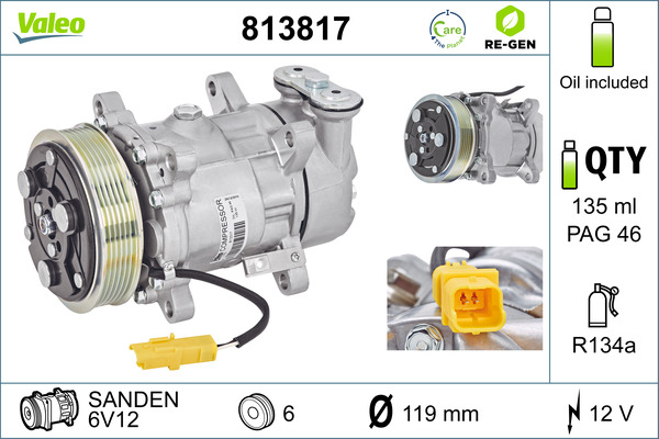 Valeo Airco compressor 813817