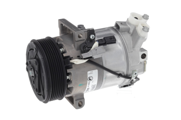 Valeo Airco compressor 813882