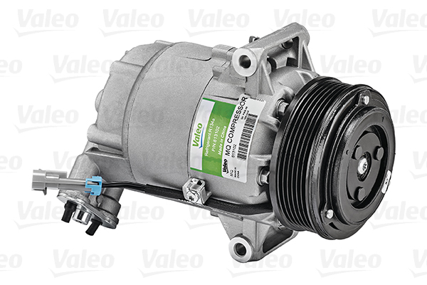 Valeo Airco compressor 813102