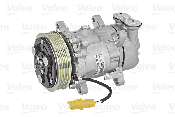 Valeo Airco compressor 813317