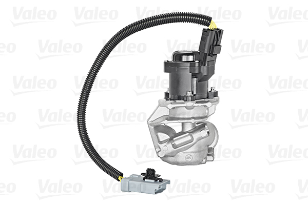 Valeo EGR-klep 700409