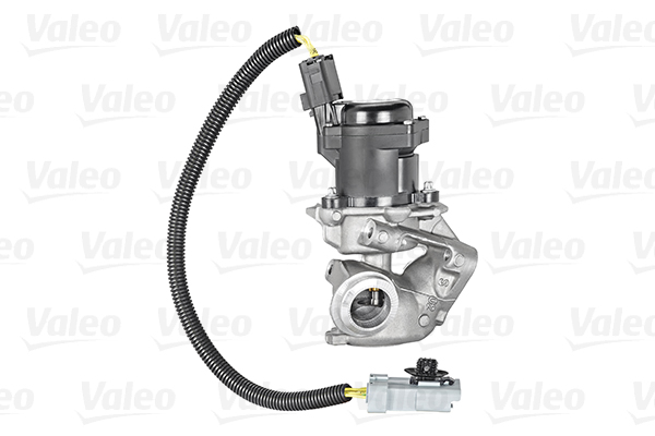 Valeo EGR-klep 700412