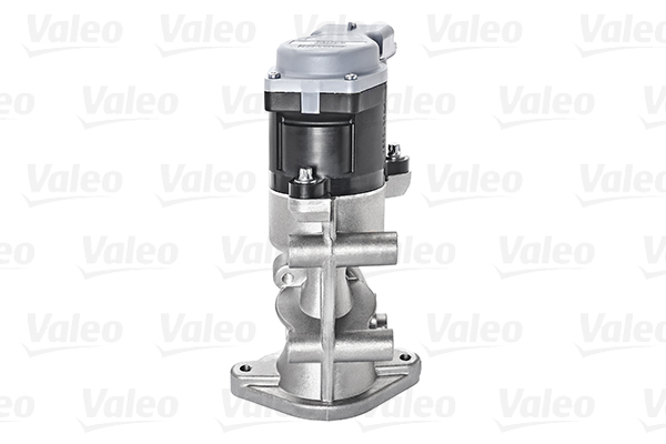 Valeo EGR-klep 700423