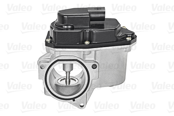 Valeo EGR-klep 700424