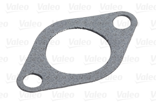 Valeo EGR-klep 700424