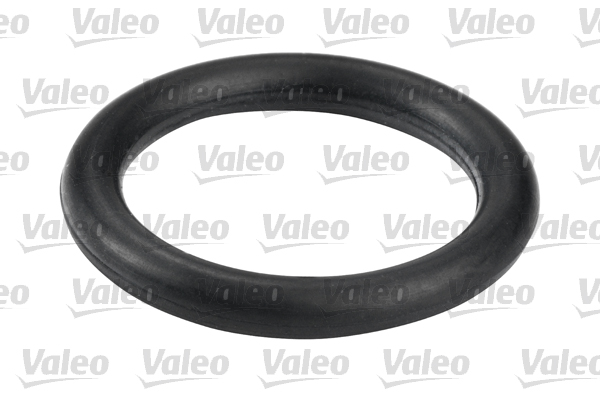 Valeo Brandstoffilter 587504