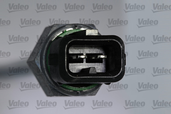 Valeo Motoroliepeil sensor 366206