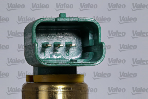 Valeo Motoroliepeil sensor 366207