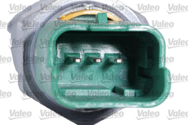 Valeo Motoroliepeil sensor 366225