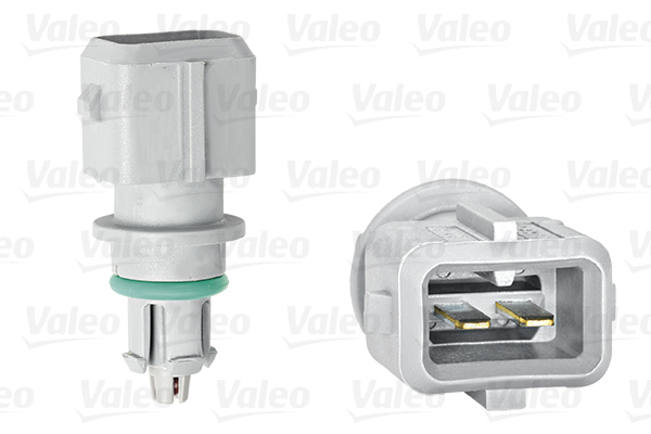 Valeo Temperatuursensor binnenkomende lucht 255604