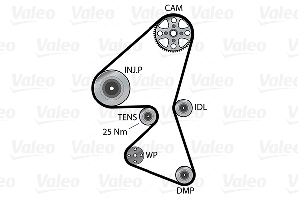 Valeo Distributieriem kit inclusief waterpomp 614557