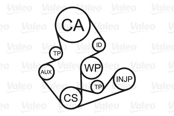 Valeo Distributieriem kit inclusief waterpomp 614629