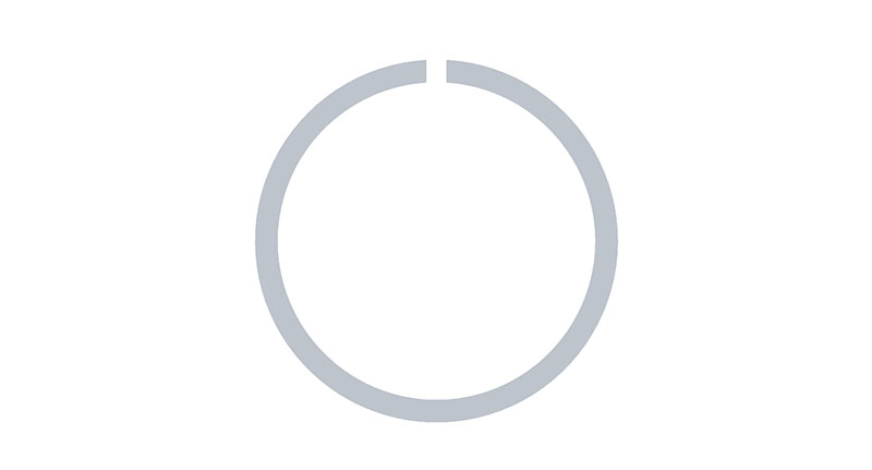 Wabco Borgring 17459084