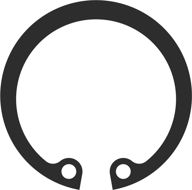 Wabco Borgring 8105180154