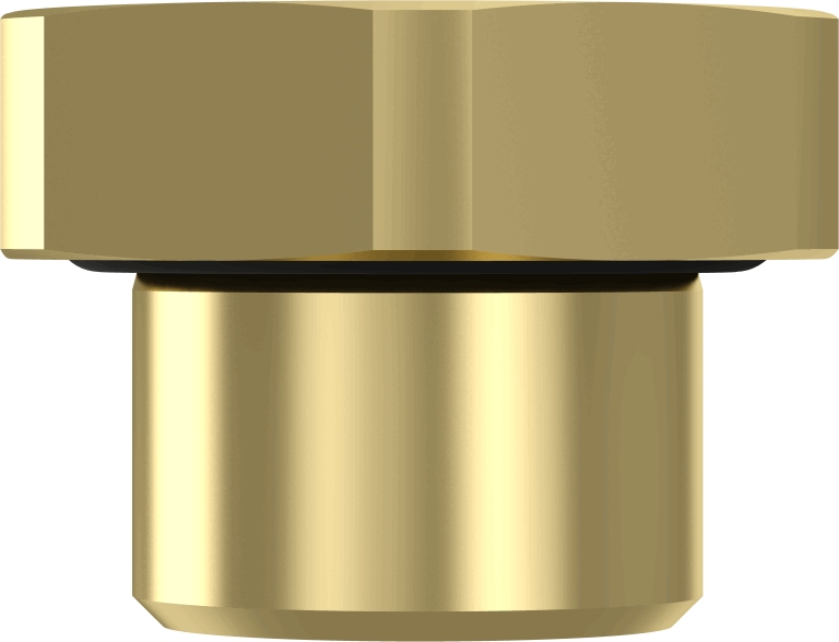 Wabco Afsluitschroef 8930220222