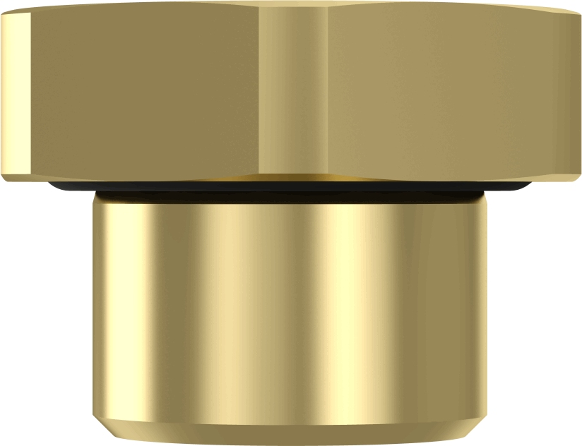 Wabco Afsluitschroef 8930220222