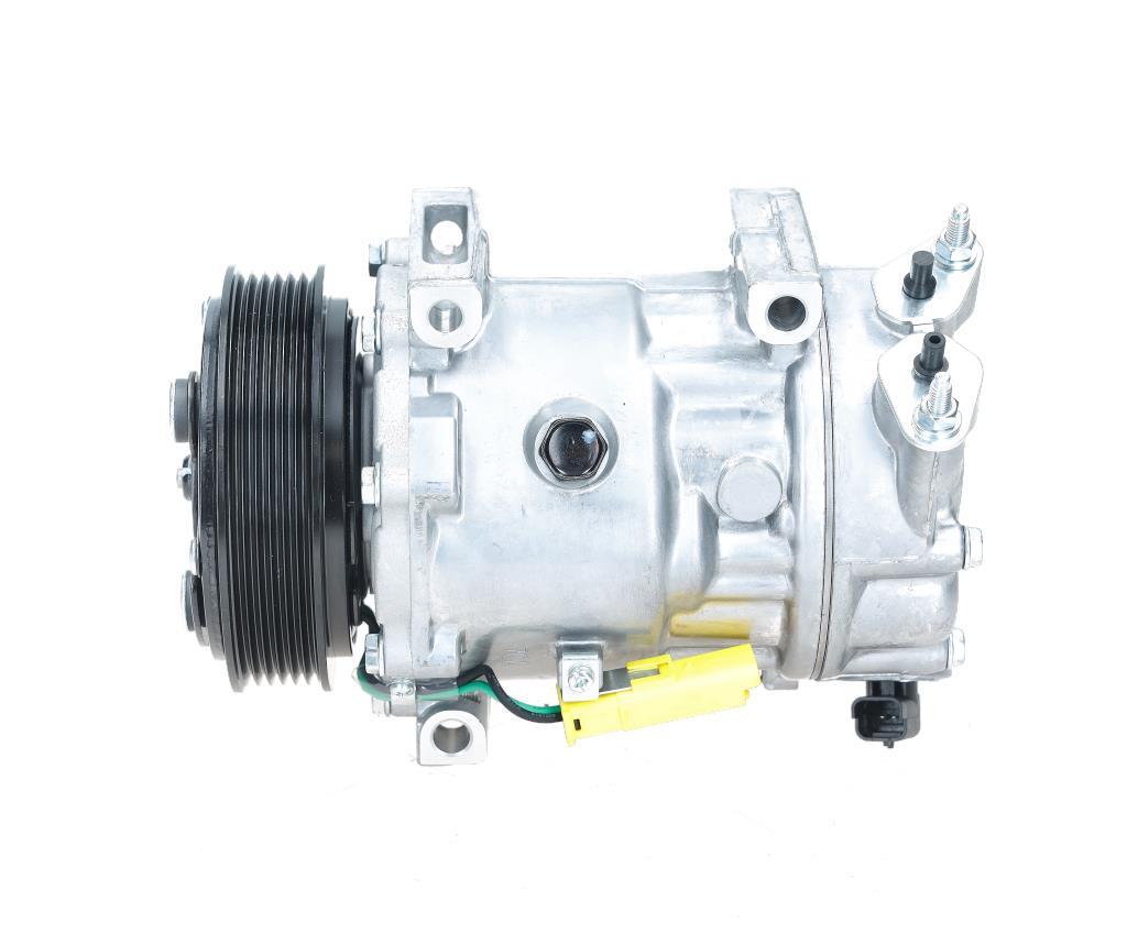 Bv Psh Compressor, airconditioning 090.225.009.876